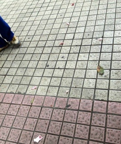 男子拒交4元停車費(fèi)怒斥保安 當(dāng)眾撕碎百元鈔票