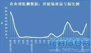 豬價只跌不漲的原因,現(xiàn)在終于知道啦!