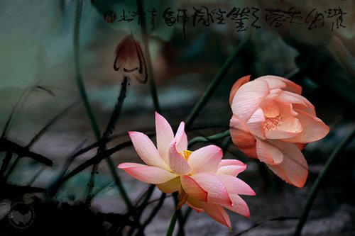 佩妮10—12月星運(yùn)勢(shì)